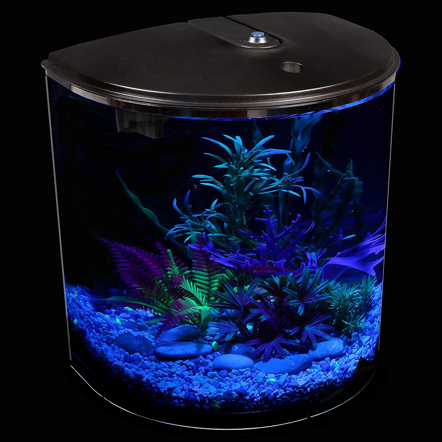 Koller Products 3.5Gallon Aquarium with Power Filter, LED
