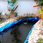 5 Actions To a Perfect Koi Fish Pond