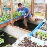 Want a Garden, But Don’t have Enough Space? Hydroponics Gardening Is The Answer!