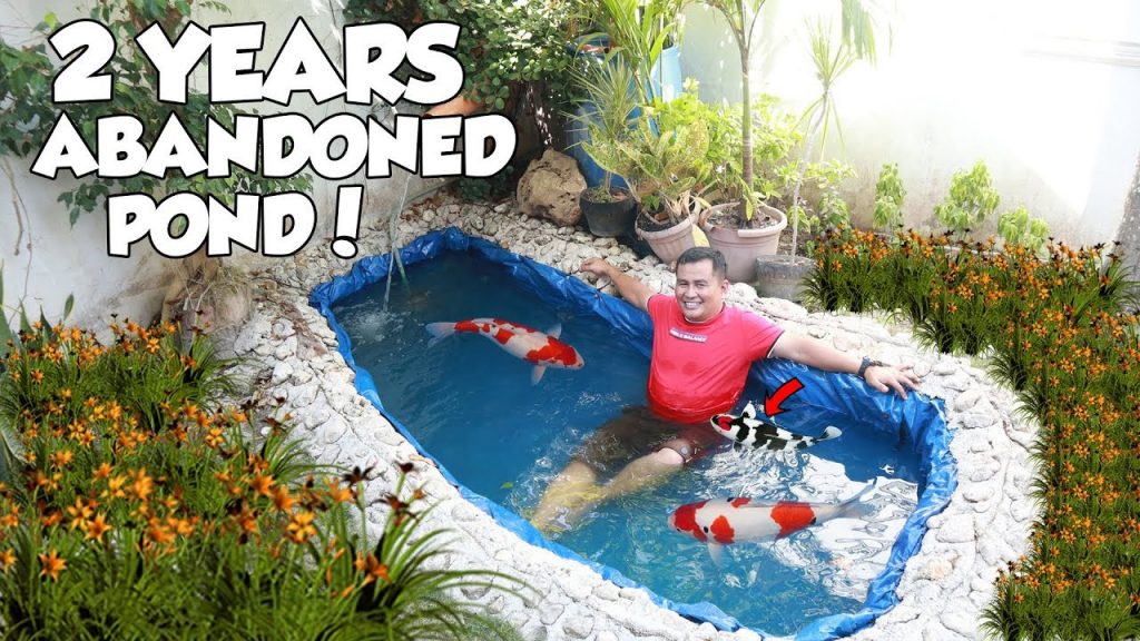 Can Fish Survive in Small Container? Dexter's World