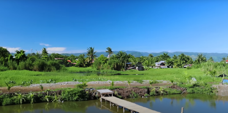 Transforming Dreams into Reality: Building a Serene Farm Sanctuary