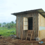 ELEVATED BAMBOO CHICKEN COOP! How we raise dozens of Free-range Native chickens with zero expenses!