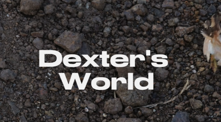 A Day at Dexter’s World: Integrated Farming and Sustainable Living